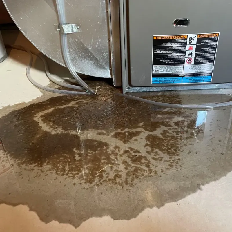 Pipe Burst and Leak Restoration in East Missoula, MT